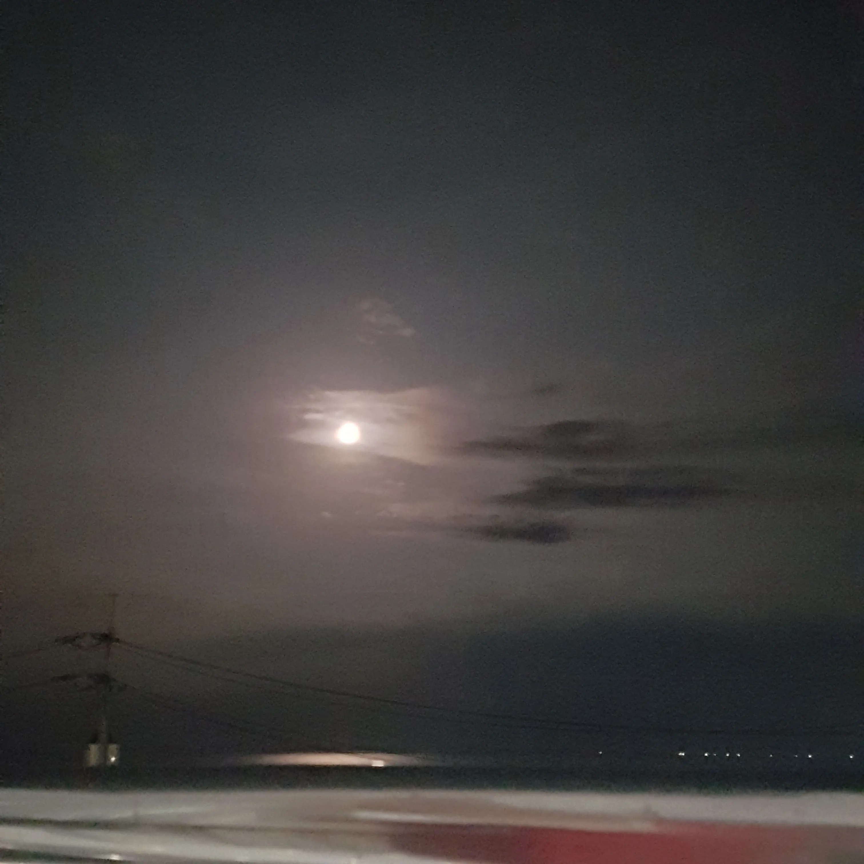 Chiwooooo의 그는 버리진 애를 찾았다