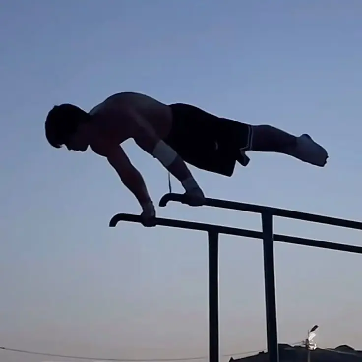 MuichiroIsMeGuys의 Calisthenics bf