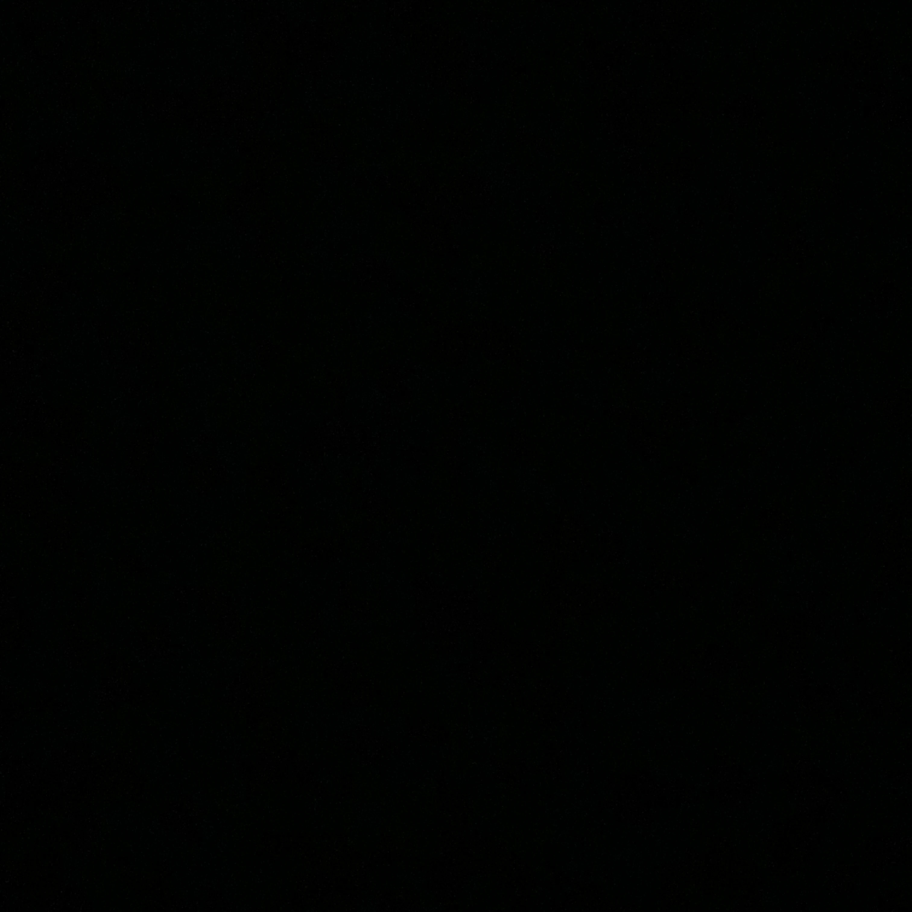 신예찬