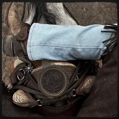 Profile image of Jude Callahan