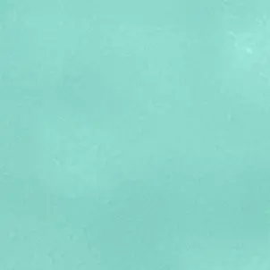 Profile image of フロイド・リーチ