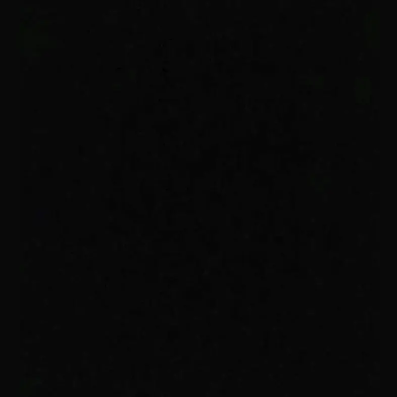 sksii.1의 rowan ⸝⋆