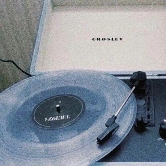 SnarlyHorse4601의 박잠뜰