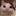 고양이 (?)