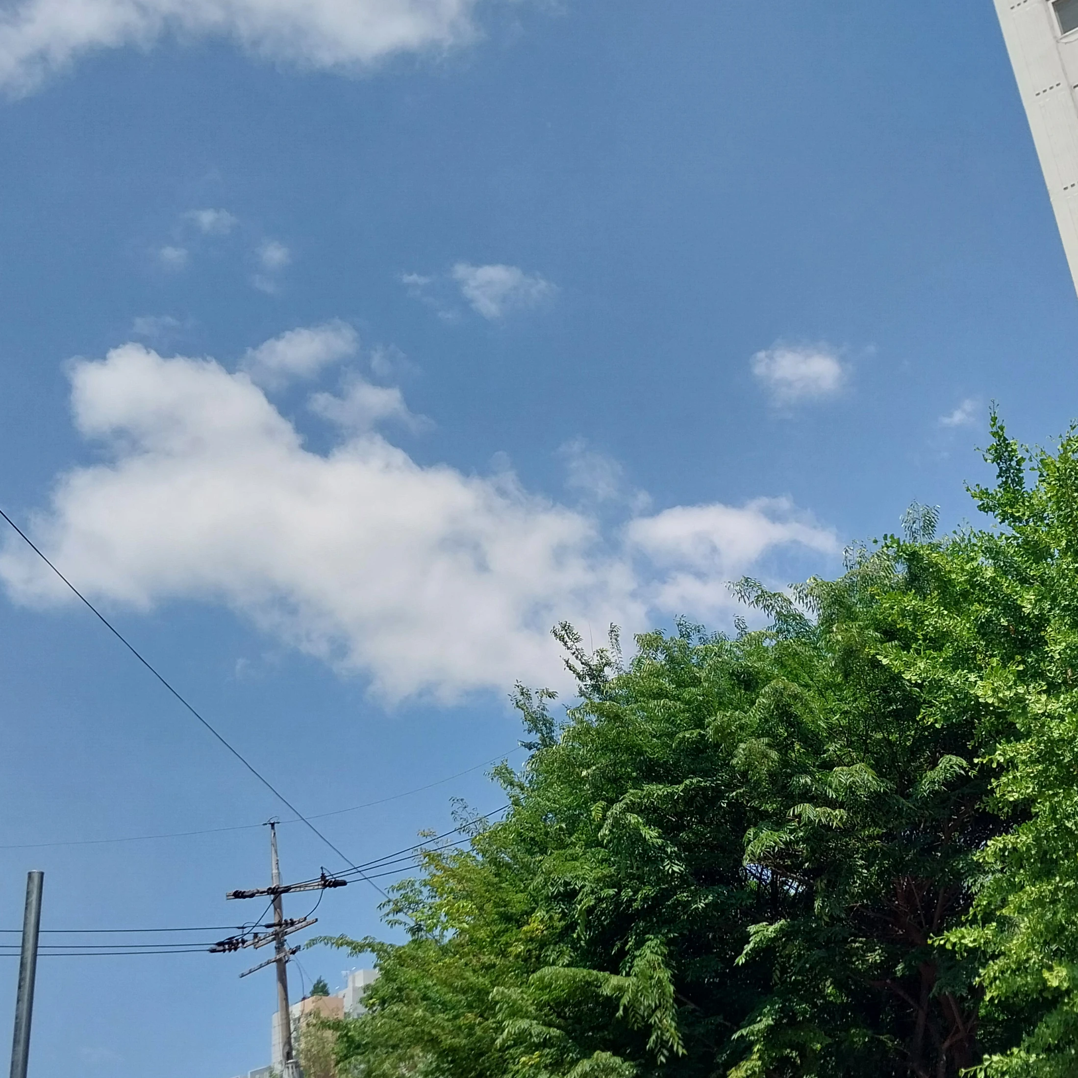 새뮤얼 앰브로즈
