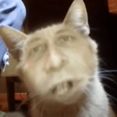 Profile image of 人面猫4