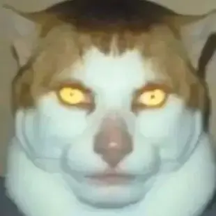 Profile image of 人面猫3