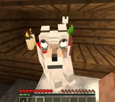 Profile image of Jerry