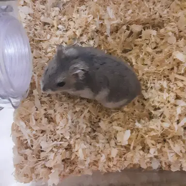 Profile image of 유튜버들