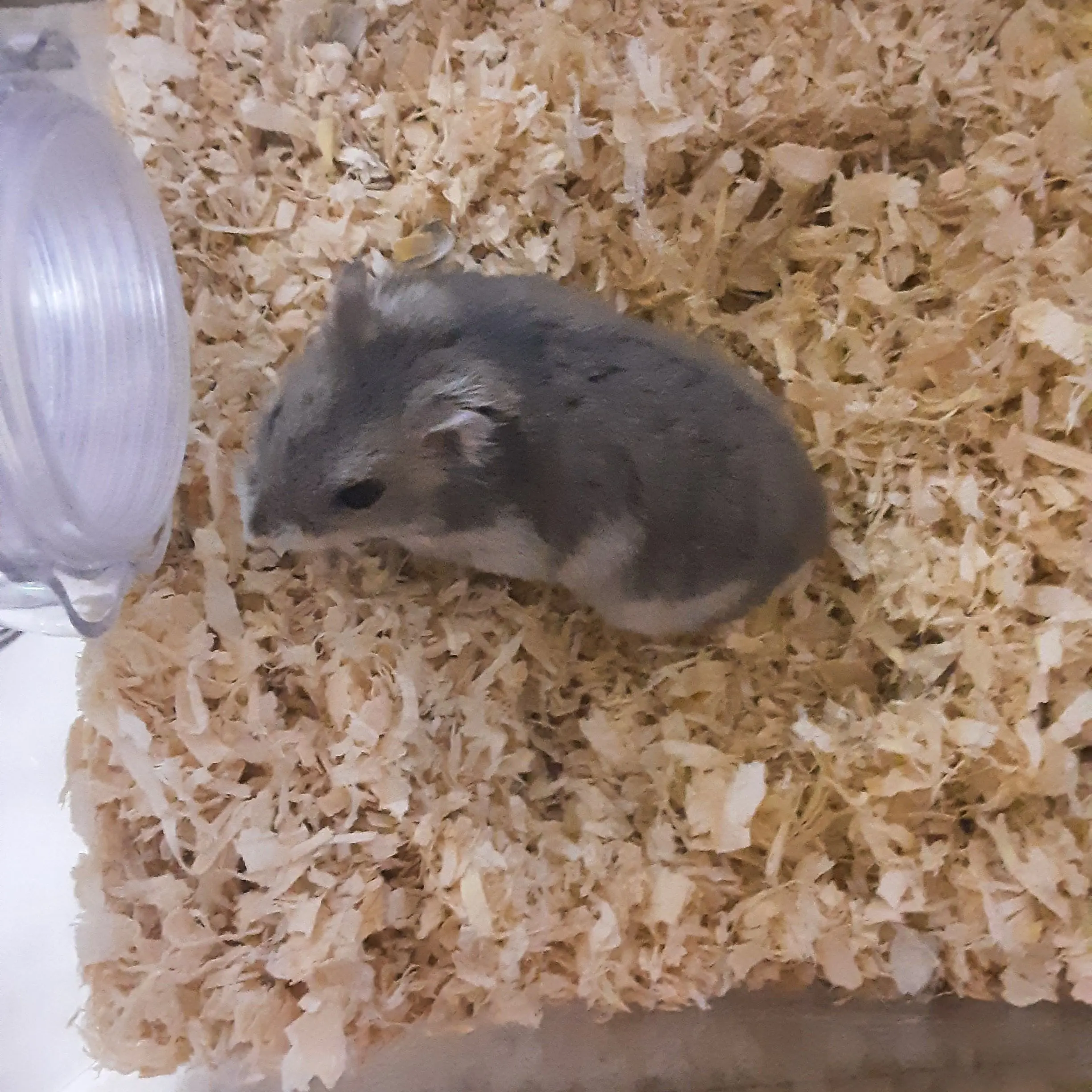 SorryFan7543의 유튜버 학교에 전학가게 됨