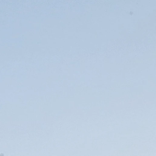 권 지 혁