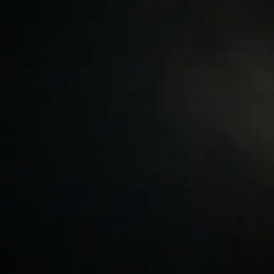 Profile image of 한동민