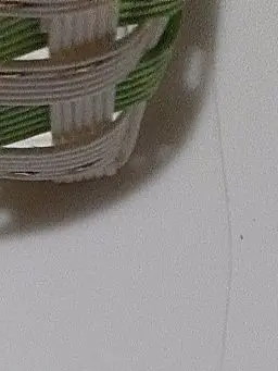 MildVale5524의 バレーボールのライバル