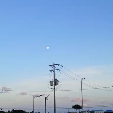 Profile image of 고인하