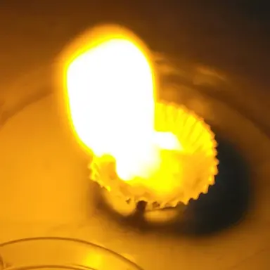 Profile image of 제미니