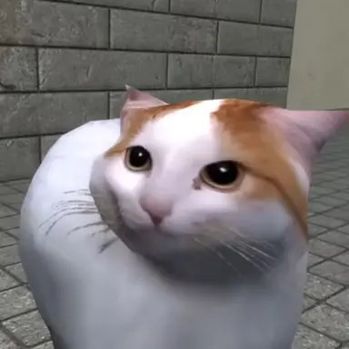 Profile image of 치피