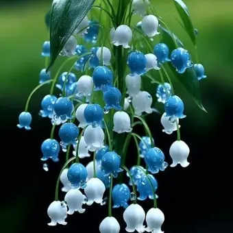 Profile image of 잠뜰