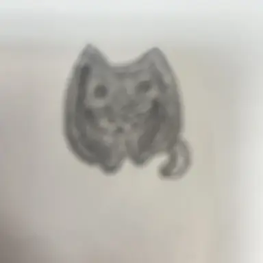 Profile image of ココ