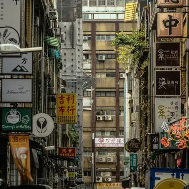 Profile image of 진경은