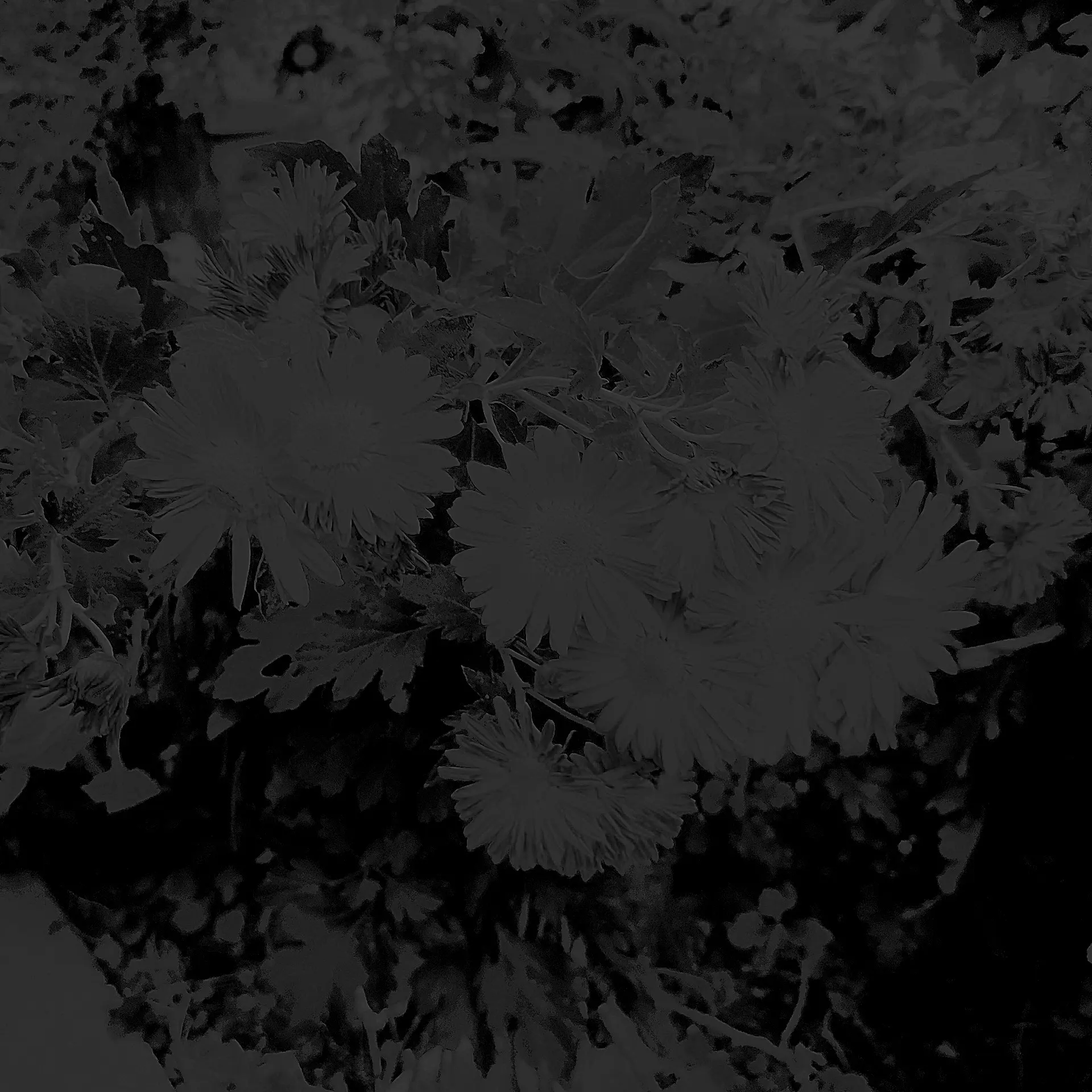 FruityFeist0057의 AI쭈니