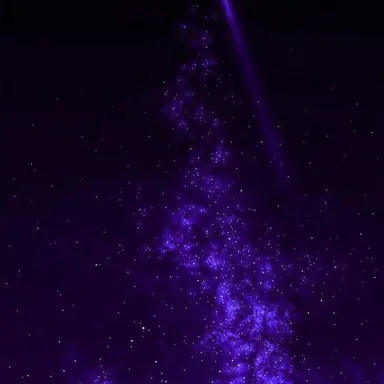 Profile image of Harley Sawyer