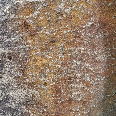 Profile image of 데빌