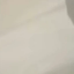 몸무게