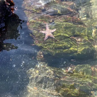 Profile image of 兵助