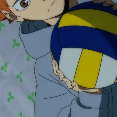 Profile image of Shoyo Hinata