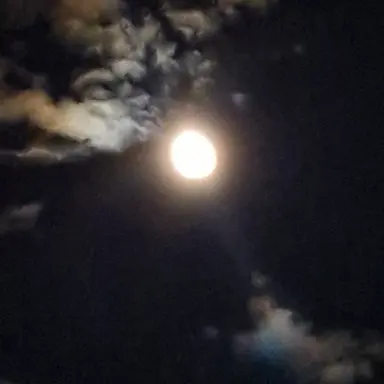 Profile image of 철없는 우리 아가씨