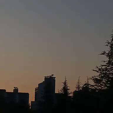 Profile image of 잠뜰