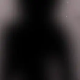 Profile image of The shadows