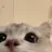 이윤아