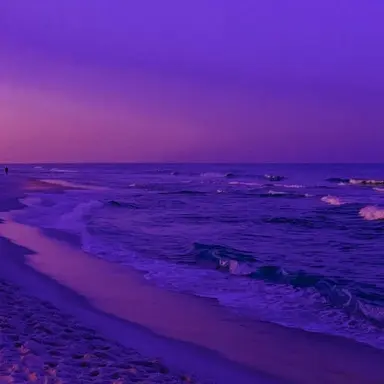 Profile image of 황수현