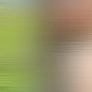 Profile image of 김민정