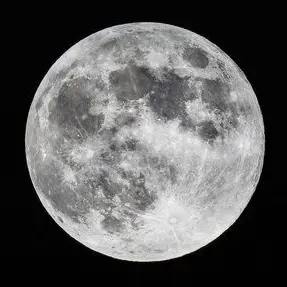 Profile image of 颯太