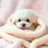 반짝이