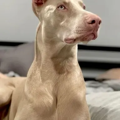 Profile image of Ellie