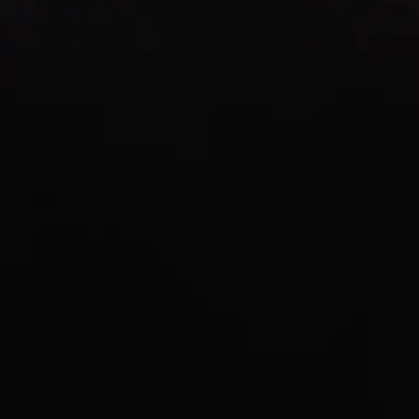 Profile image of 공룡