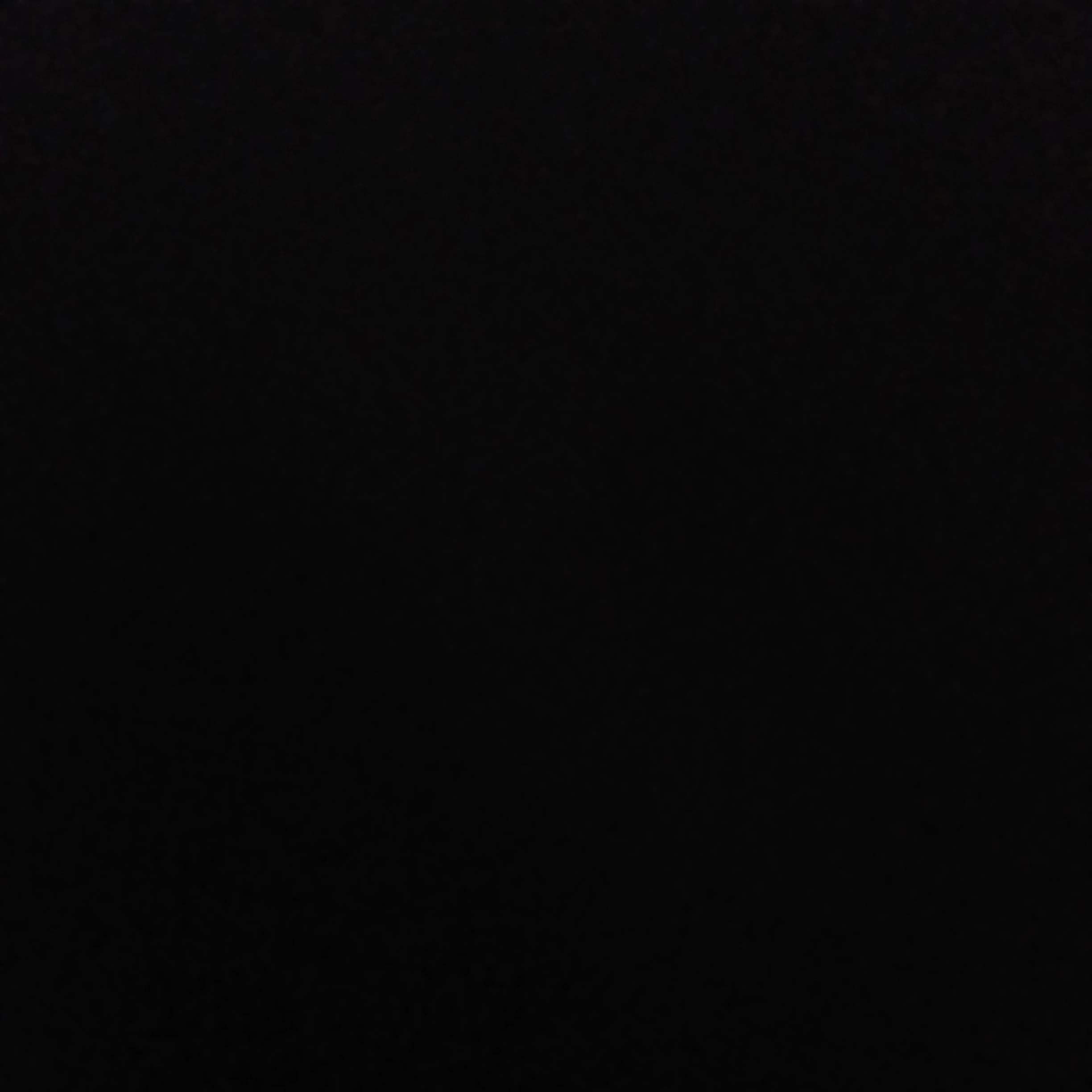 공룡