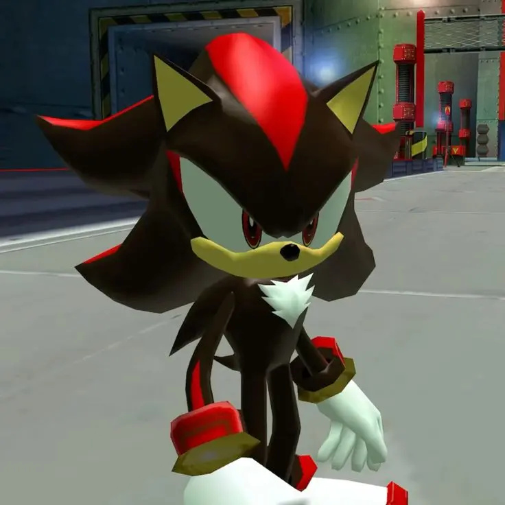 tksaor1110의 섀도우 더 헤지혹