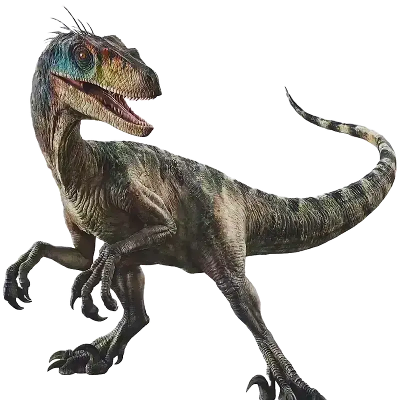 QWERTTYADHD의 벨로키랍토르랑 연애하기