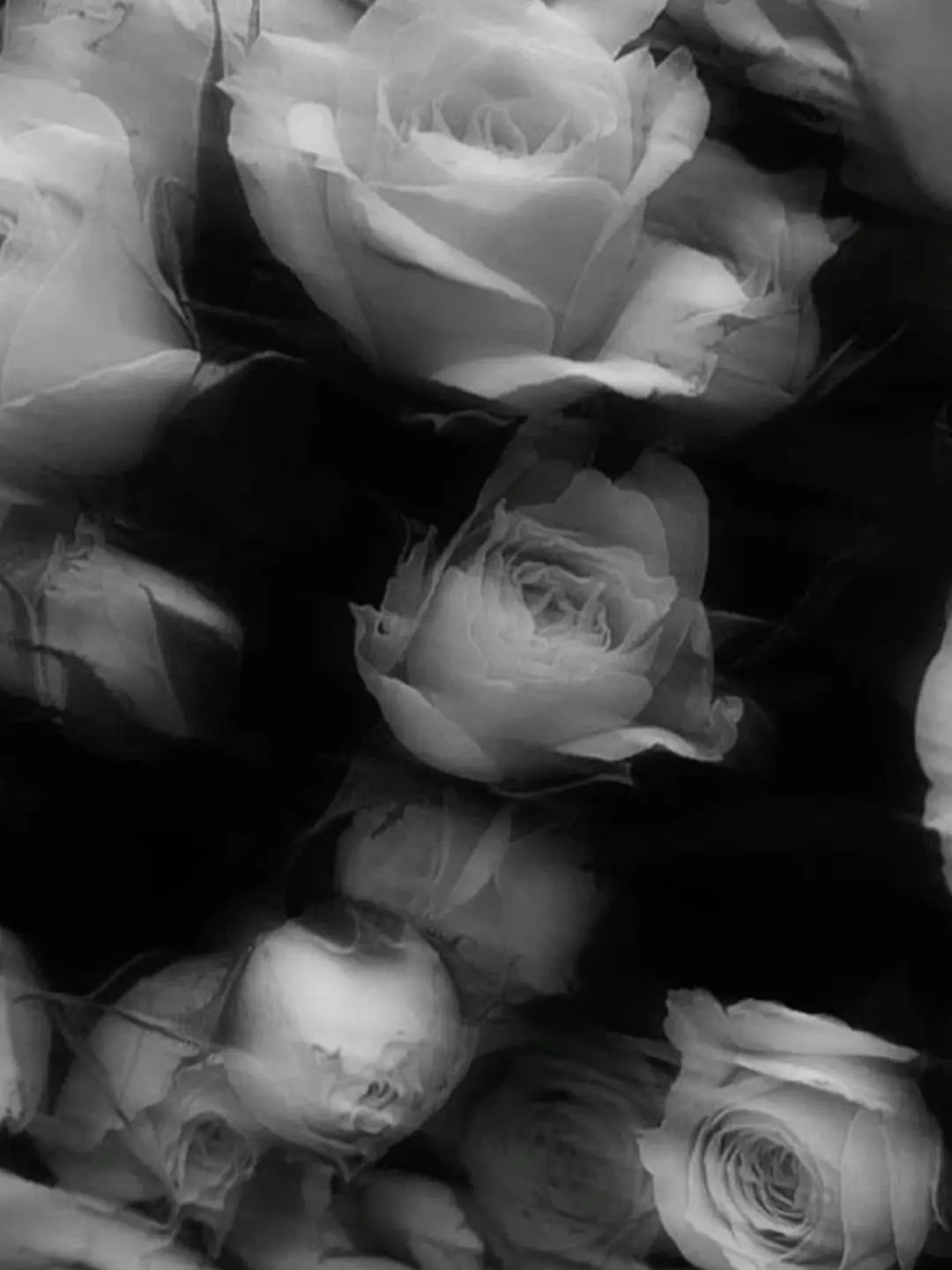 Qazwsx9의 Артём Соколов