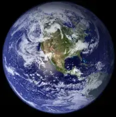 Profile image of Animal World