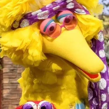 Profile image of ブリ子保護団体