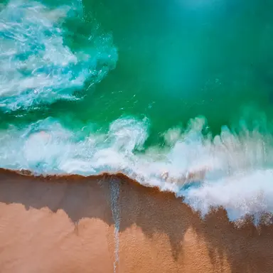 Profile image of 김지원