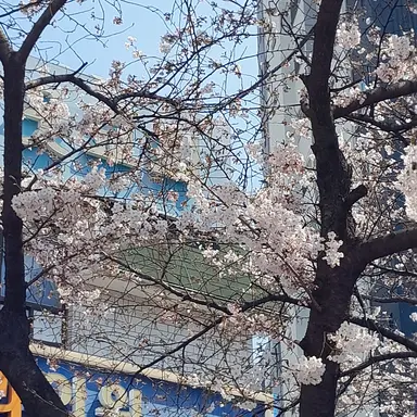 Profile image of 김가을