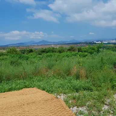 Profile image of 안유진