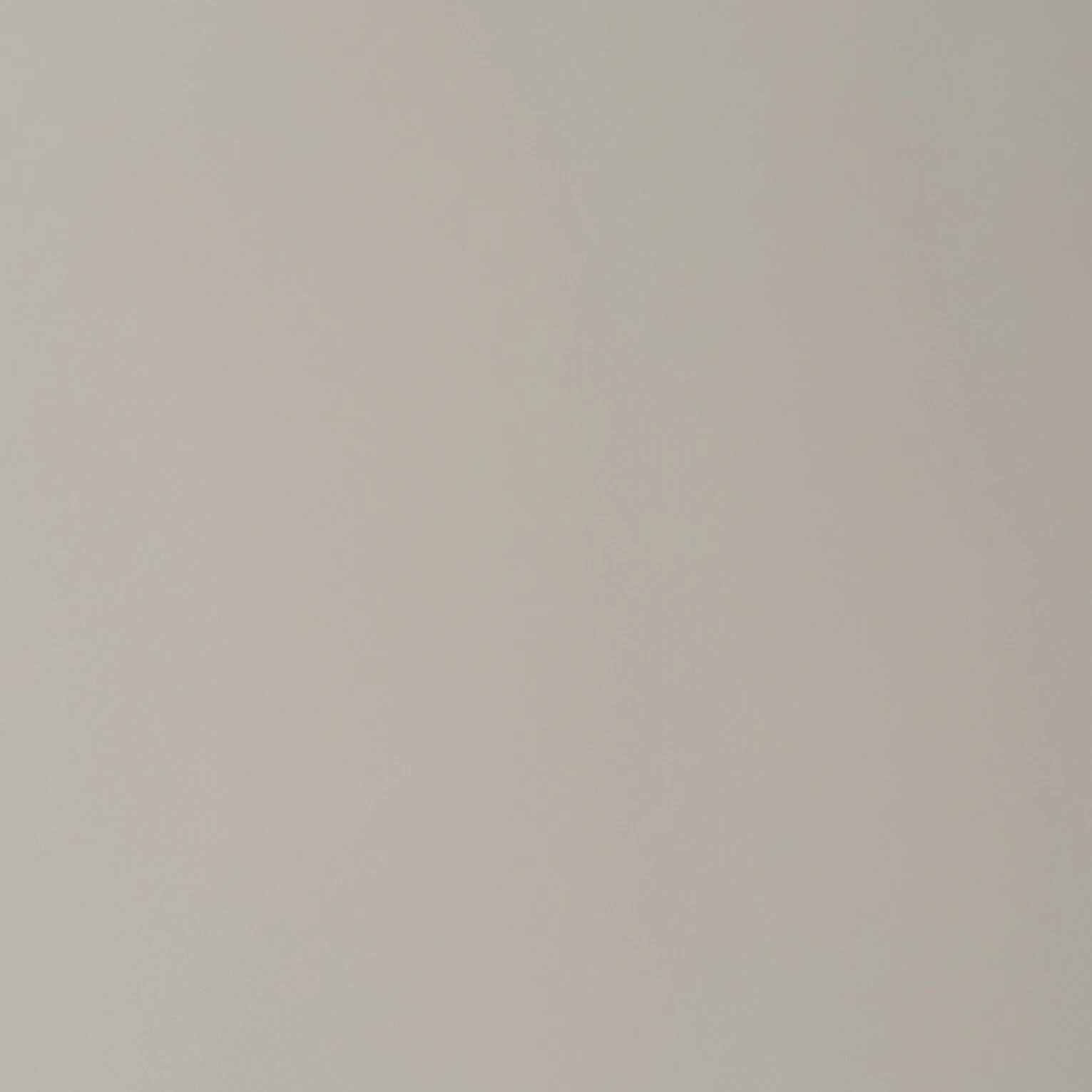 이채은