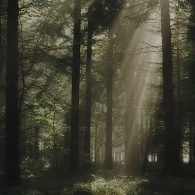 Profile image of 정형준